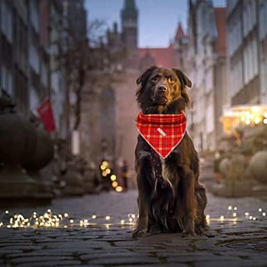 Bobo Rainbow Dog Bandana, 1PC Christmas Dog Bandanas Girl Boy Bibs Scarf Holiday Soft Dogs Kerchief Pet Bandanas Small Medium Large for Dogs Gift - Image 6