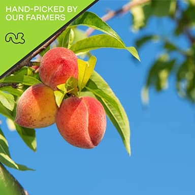 NUT CRAVINGS - Sun Dried California Peaches, No Sugar Added, Unsweetened (80oz, 5 LB) Bulk Dry Fruits Packed Fresh in Resealable Bag - Sweet Healthy Snack, Naturally Grown, Vegan, Kosher - Image 4