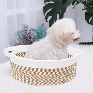 ABenkle Small Basket, 12"x 8" x 5" Cute Small Woven Basket, Rope Room Shelf Storage Basket, Cat Dog Toys Basket Chest Box, Decorative Empty Gift Basket with Handles - Image 4