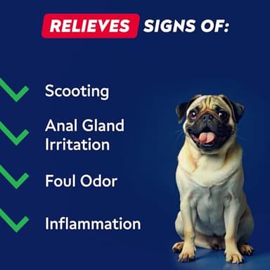 STRELLALAB Anal Gland Support Chews - Scoot Treatment - Digestive Enzymes, Prebiotics & Fiber Supplement for Dogs Digestion & Gut Health. Proprietary Blend of Beet, Psyllium, Dandelion & Pumpkin 120Ct - Image 4