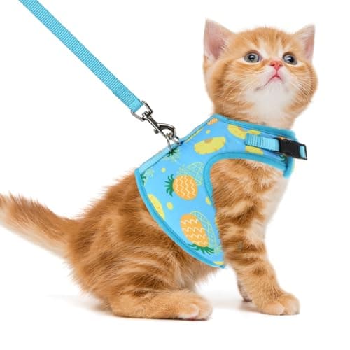 PUPTECK Soft Mesh Cat Vest Harness and Leash Set Puppy Padded Pet Harnesses Escape Proof for Cats Small Dogs Rabbits Bunny - Image 1