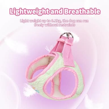 AIITLE Breathable Dog Vest Harness and Leash Set - Step in Adjustable Dog Harness with Magic Tape Design and Quick-Release Buckle - Outdoor Walking, Training for Medium Dogs Green L - Image 3