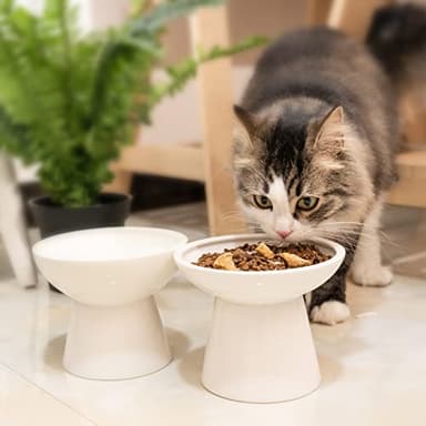 CEEFU 2 Elevated Ceramic Cat Bowls Extra Wide for Food & Water – Whisker Fatigue Shallow Food Dish, Lead & Cadmium-Free, Raised Height for Cats and Dogs, Two Different Depth Bowls, White - Image 7