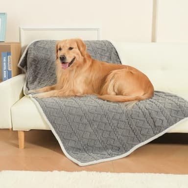 BEAUTYZOO Waterproof Dog Blankets for Small Dogs Washable- Reversable Dog Blanket for Furniture, Sofa, Couch, Crate, Car- Soft Sherpa Dog Throw Plush Pet Bed Blanket Cat Puppy Kitten, 24"x32" Grey - Image 1