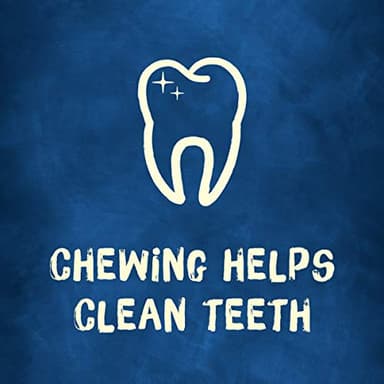 Purina Busy Bone Adult Dog Chew Bone Treats, Peanut Butter - 10 ct. Pouch - Image 12