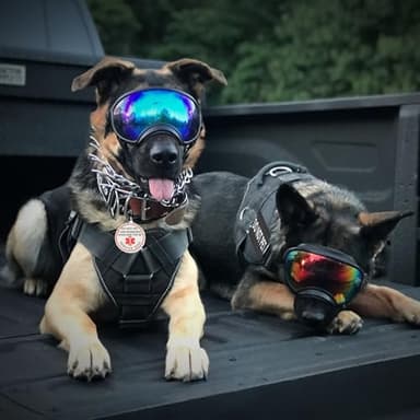 Do Not Pet Patch 2 Pcs Service Id Dog Tag Easily Attach to Dog Collar, Harness (Medium 1.50 x 5.12 inch) - Image 4