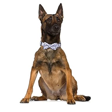 Halloween Dog Collar with Removable Cute Bow Tie Adjustable Pet Collars Medium - Image 4