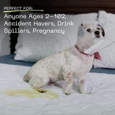 Coop Home Goods Waterproof Four Layer Bed Underpad for Incontinence, Queen, Washable Mattress Pad, Reusable Waterproof Mattress Cover, Bed Pads for Adults, Seniors, Children, Pets, Queen (60x39.5) - Image 3