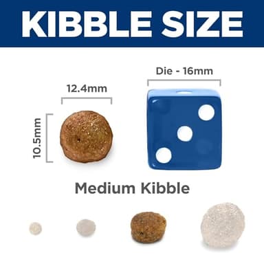 Hill's Science Diet Sensitive Stomach & Skin, Adult 1-6, Stomach & Skin Sensitivity Support, Dry Dog Food, Chicken Recipe, 30 lb Bag - Image 7