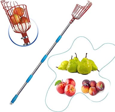 HOSKO 10FT Fruit Picker Tool, Lightweight High-Grade Stainless Steel Adjustable Fruit Picker with Metal Twist-on Basket, Suit for Apple Pear Lemon Mango Guava Orange Avocados Etc Fruit Picking - Image 1