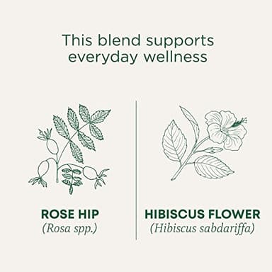 Traditional Medicinals Tea, Organic Rose Hips & Hibiscus, Supports Everyday Wellness, 96 Tea Bags (6 Pack) - Image 3