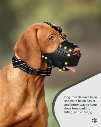Dog Muzzle, Leather Basket Soft Muzzles Medium Large Breeds, Pitbull Dog Muzzle Amstaff Staffordshire Terrier, German Shepherd Dalmatian Doberman Adjustable (L) - Image 7