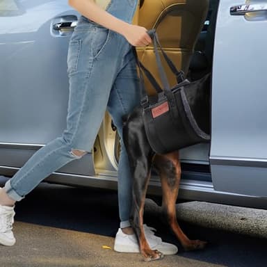 S-ETOVUS Dog Sling for Large Dogs Hind Leg Support, Magic Tape Dog Lift Harness, Soft Dog Support Harness for Back Legs, Hip Support Harness to Help Senior, Injured, Disabled and After ACL Surgery - Image 6