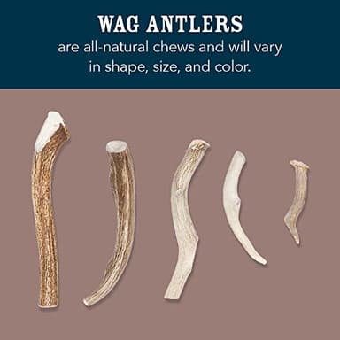 Amazon Brand - Wag Split Elk Antler, Naturally Shed, Long Lasting for Aggressive Chewers, Large (Best for Dogs 30-45 lbs) - Image 2