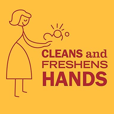 MRS. MEYER'S CLEAN DAY Hand Soap, Clementine, Made with Essential Oils, 12.5 oz - Pack of 3 - Image 5