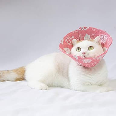 Cat Cone Collar Adjustable After Surgery, Comfortable Pet Cone E-Collar for Large Medium Small Cats Kitten Puppy to Stop Licking(Pink Cat-L) - Image 5