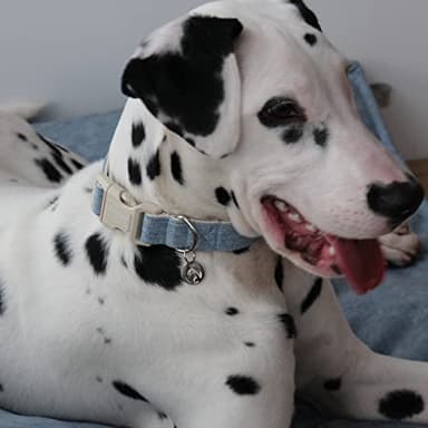 DOGWONG Cotton Hemp Dog Collar, Heavy-Duty Adjustable Soft Natural Fabric Pet Collar - Cute Wedding Puppy Necklace for Small to Large Dogs - Image 4