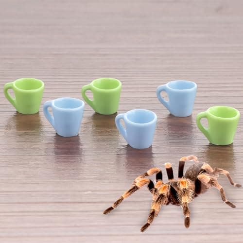 6 Pcs Tarantula Micro Water Bowl Spider Resin Feeding Bowl for Spider Tarantula Millipede Tiny Bugs Small Insects (Blue and Green) - Image 1