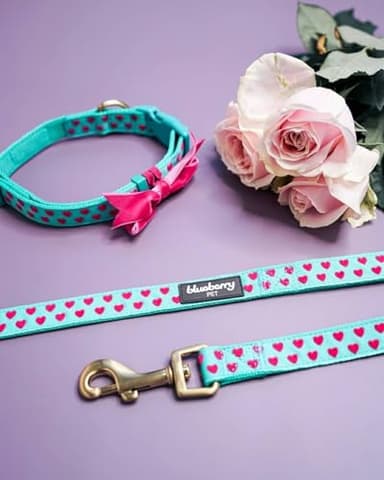 Blueberry Pet Valentine's Day Dog Leash, Velvety Soft-Touch Heart Flocking Lead for Small Dogs, Minty Green, 5 ft x 5/8" - Image 5