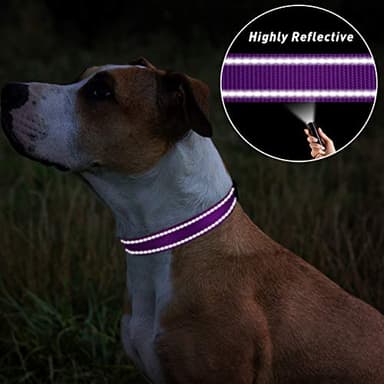 TagME Reflective Nylon Dog Collars, Adjustable Classic Pet Collar with Quick Release Buckle for Small Dogs, Purple, 5/8" Width - Image 5