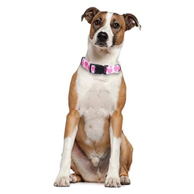 2 Pack Valentine's Day Dog Collar Adjustable Love Heart Large - Image 6