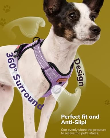 MIDOG No-Pull Dog Harness | Adjustable & Reflective Pet Harness Leash Set for Small Medium Large Dogs Walking, Training| No Choke, Front Clip, Soft Padded Vest with Easy Control Handle - Purple, S - Image 3