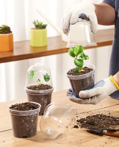 homenote Clear Nursery Pots for Plants,3 Inch Plant Pot for Planting with Humidity Domes Plastic Seedling with Drainage Holes Seed Starter Flower High Transparency (30 Pack) - Image 2