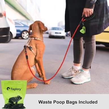 Taglory Rope Dog Leash 5 FT with Comfortable Padded Handle, Highly Reflective Threads Leash for Small Dogs, 3/8 inch, Red - Image 2