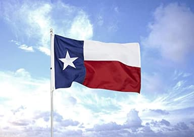 Homissor Texas Flag 5x8 Feet - Embroidered Star Sewn Stripes Outdoor Heavy Duty 210D Oxford Nylon Flags Vivid Color - Canvas Header Brass Grommets and 4 Stitch Hemming USA Flag - Image 7