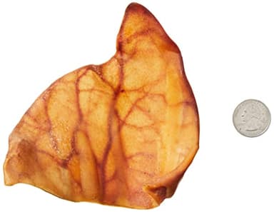 Amazon Brand - Wonder Bound Whole Pig Ears, Single Ingredient, Highly Digestible, Dog Treats for Puppy and Large/Medium Dogs, Pork, 18 count, 12.7 ounce (Pack of 1) - Image 4