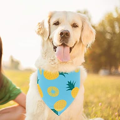 EXPAWLORER Dog Cooling Bandana Set - 4 Pack Hawaii Dog Bandana, Summer Triangle Scarfs Bibs with Cute Fruit Patterns for Small Medium Large Dogs, Large - Image 7