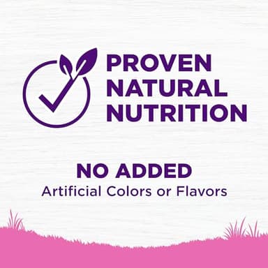 Wellness Complete Health Dry Dog Food for Small Dogs, Toy Breed, Wholesome Grains, Natural, Chicken, Brown Rice, & Peas Recipe, 4-Pound Bag - Image 5