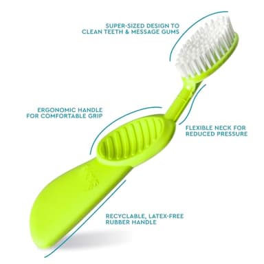 Radius Toothbrush Flex Brush BPA Free & ADA Accepted Designed to Improve Gum Health & Reduce Gum Issues - Right Hand - Lime White - Pack of 1 - Image 2