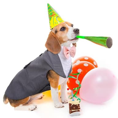 PUMYPOREITY Dog Tuxedo and Bandana Set, Formal Gentleman Dog Attire with Bowtie for Weddings, Birthdays, 2 Pieces/Pack, L, Grey - Image 4