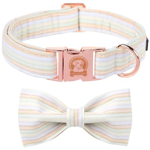MR.CHUBBYFACE Orange Dog Collar with Bowtie, Cute Fall Pet Collar for Girl Boy Female Dogs, Adjustable Cotton Puppy Collar with Metal Buckle for Large Dogs - Image 1