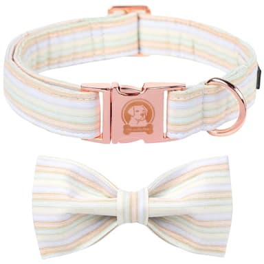MR.CHUBBYFACE Orange Dog Collar with Bowtie, Cute Fall Pet Collar for Girl Boy Female Dogs, Adjustable Cotton Puppy Collar with Metal Buckle for Large Dogs - Image 1