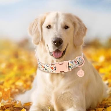 HSIGIO Soft Cotton Dog Collar, Adjustable Dog Collar with Metal Buckle, Colored Maple Leaf with Pendant Girl Boy Dog Collars Gift for Small Medium Large Dogs (X-Small) - Image 2