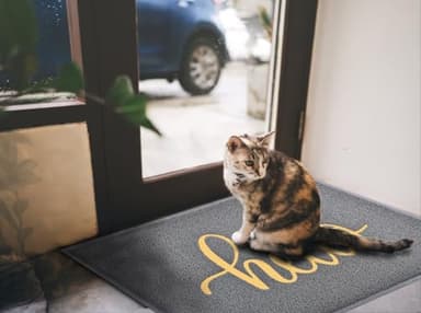 T.HENV Welcome Mat, Waterproof All-Season Doormat, All-Weather Quick Drying & Low Profile Design, Durable Front Door Mat for Outdoor Indoor Use, Patio Porch Entryway, 36x24, Grey-Gold - Image 3
