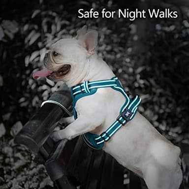 PoyPet No Pull Dog Harness, No Choke Reflective Dog Vest, Adjustable Pet Harnesses with Easy Control Padded Handle for Small Medium Large Dogs(Tumalo Teal,L) - Image 6