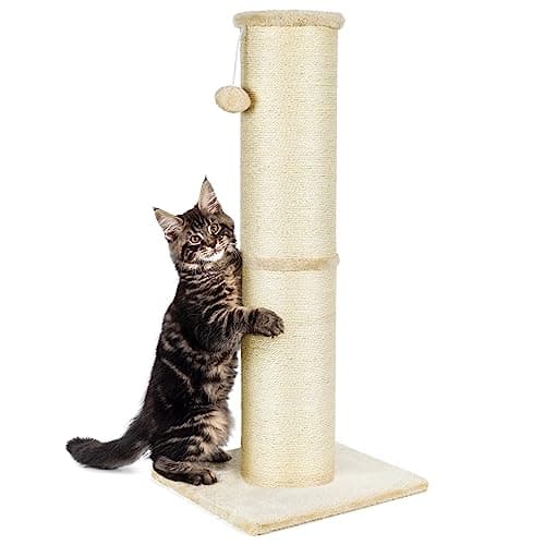 PAWSCRAT Cat Scratching Post 32 Inch High, 5.5 Inch Large Diameter Natural Sisal Cat Scratch Post, Scratch-Resistant and Durable Tall Cat Scratcher for Indoor Cats, Protect Your Furniture, Beige - Image 1