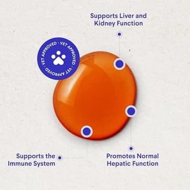 Wonder Paws Milk Thistle, Liver Support for Dogs, Supports Kidney Function for Pets, Detox, Hepatic Support, with Wild Alaskan Salmon Oil & Curcumin, Omega 3 EPA & DHA (2 Oz) - Image 4