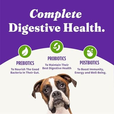 Halo Holistic Adult Dog Vegan Plant-Based Recipe with Superfoods 3.5 lb Bag - Image 8