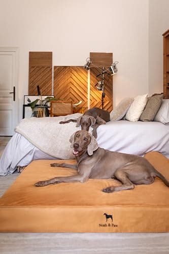 NOAH & PAW Giant Dog Bed XXL 55x45x9.5 Inch, Orthopedic Dog Beds, Eggshell Memory Foam Infused with Cooling Gel, Waterproof, Machine Washable, Includes Inner Cover (Faux Leather) - Image 7