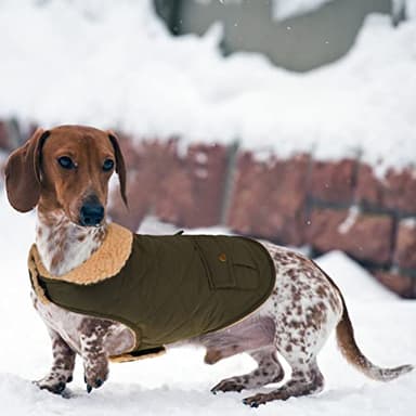 Queenmore Warm Coat for Cold Weather, Quilting Winter Jacket With Ultra Thick Plush Lining and Storage Pockets (Green, Medium) - Image 2