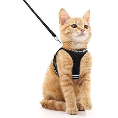 rabbitgoo Cat Harness and Leash Set for Walking Escape Proof, Adjustable Soft Kittens Vest with Reflective Strip for Cats, Comfortable Outdoor Vest, Black, M - Image 1