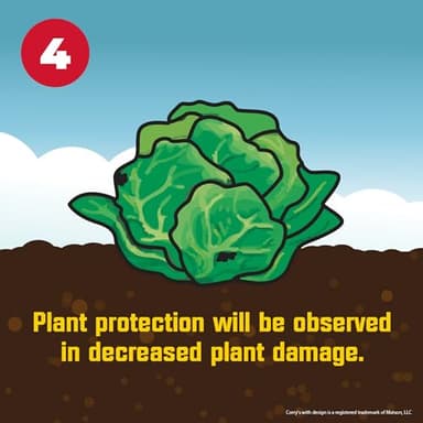 Corry's 100537446 Slug & Snail Killer, 3.5 lb, Brown/A - Image 5