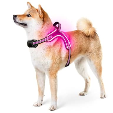 Light Up Dog Harness Rechargeable No Pull Rainproof Dog Vest with Handle for Night Walking, Lighted Dog Harness for Small Medium Large Dogs (Pink, M) - Image 1