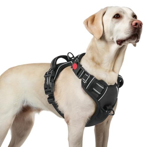 rabbitgoo Dog Harness for Large, No Pull Pet Harness with 3 Buckles, Adjustable Soft Padded Vest with Control Handle, Walking Reflective Pet Vest for Large Dogs, Black, L - Image 1