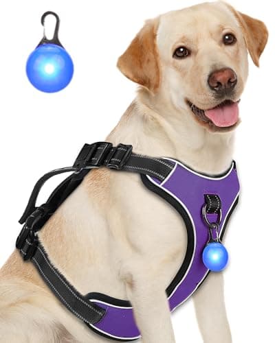 Perperqer Dog Harness Purple No Pull Y Shaped for Medium Sized Dog, Small to Large Dogs Reflective Adjustable Easy Walk Puppy Harnesses,Heavy Duty Girl Boy Pet Vest 3 Buckle with Handle & Light,L - Image 1
