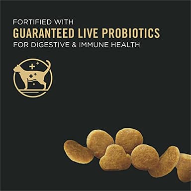 Purina Pro Plan With Probiotics, High Protein Dry Kitten Food, Chicken & Rice Formula - 3.5 lb. Bag - Image 2